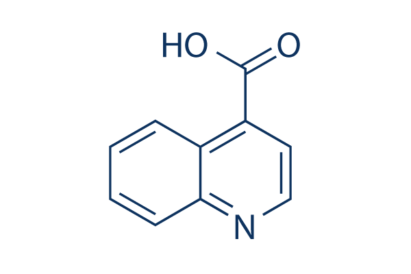 Quinoline 4 carboxylic acid 99 HPLC Selleck その他 阻害剤