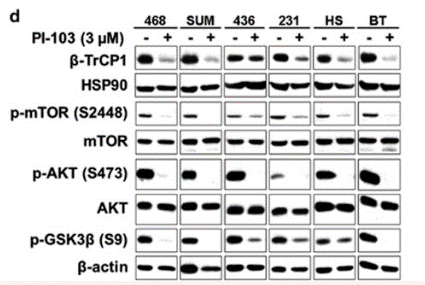 S1038-WB3.gif