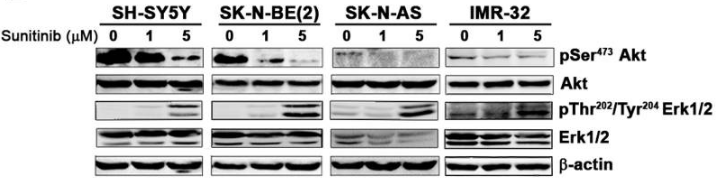 S1042-WB1.gif