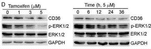 S1238-WB4.gif