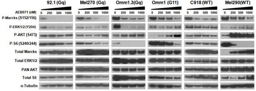 S2791-WB5.gif