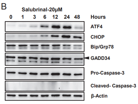 S2923-WB2.gif