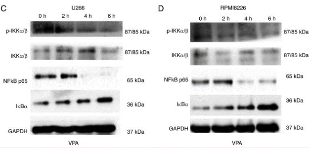 S3944-WB3.gif