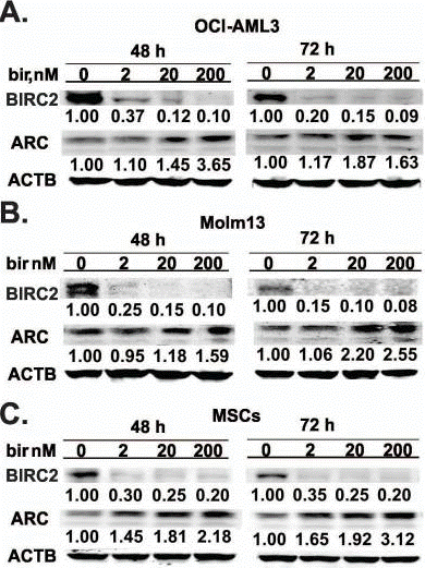 S7015-WB3.gif