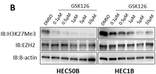S7061-WB1.gif