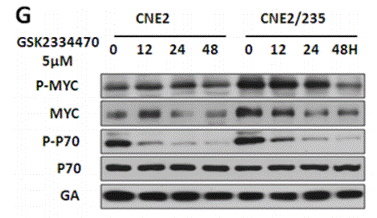 S7087-WB2.gif