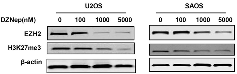 S7120-WB1.gif