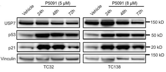 S7132-WB2.gif
