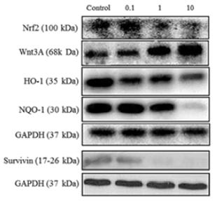 S7143-WB3.gif