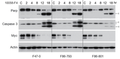 S7153-WB1.gif