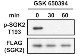 S7209-WB4.gif