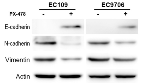 S7612-WB3.gif