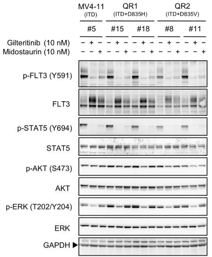 S7754-WB3.gif