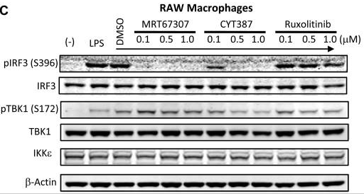 S7948-WB1.gif