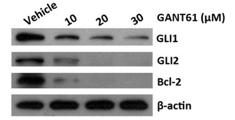 S8075-WB2.gif
