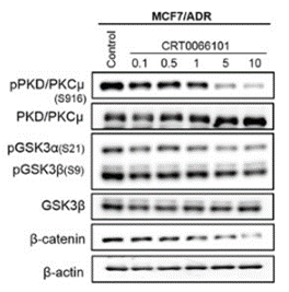 S8366-WB1.gif