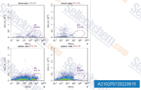 A2102-Anti-mouse-CD8alpha-InVivo-6.gif