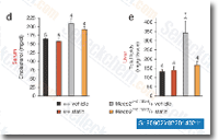 Fluvastatin-S190902Y0220140211.gif