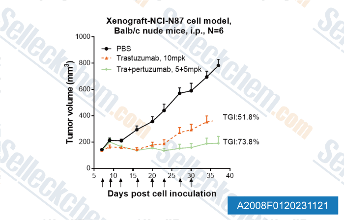 A2008-Pertuzumab-(anti-HER2).gif