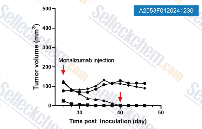 A2053-Monalizumab-Anti-Human-CD159a.gif