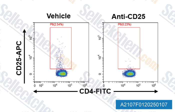 A2107-Anti-mouse-CD25-InVivo.gif