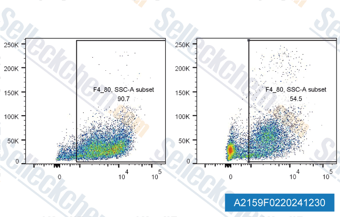 A2159-Anti-mouse-CSF1R-CD115-InVivo-2.gif