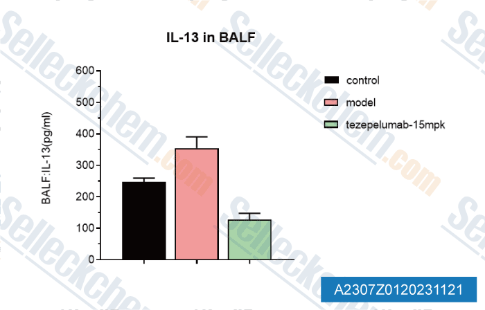 A2307-Tezepelumab-(Anti-TSLP).gif