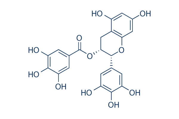 EGCG ((-)-Epigallocatechin Gallate)化学構造
