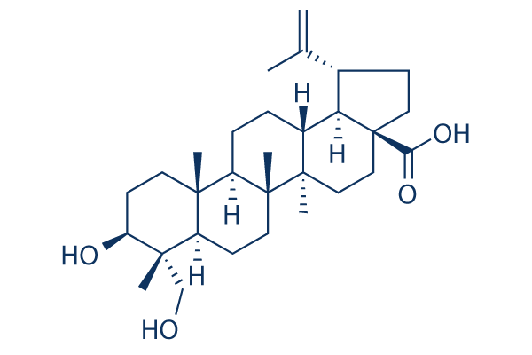 23-Hydroxybetulinic acid化学構造
