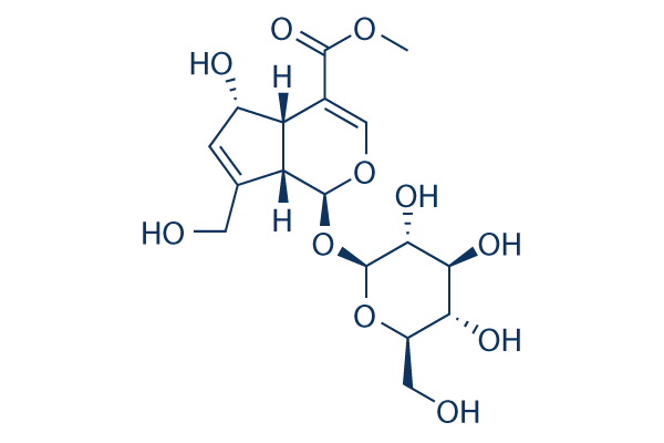 6α-Hydroxygeniposide化学構造
