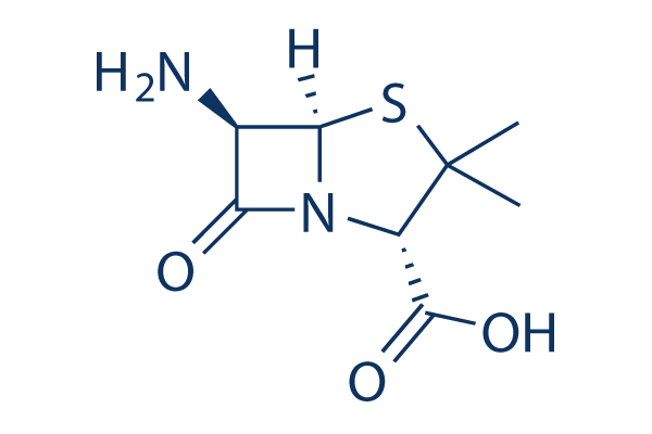 6-Aminopenicillanic acid化学構造