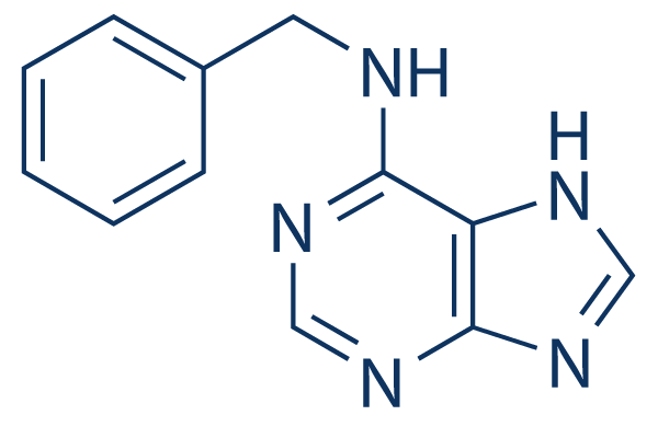 6-Benzylaminopurine化学構造
