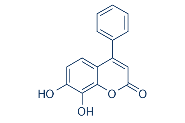 7,8-Dihydroxy-4-phenylcoumarin化学構造