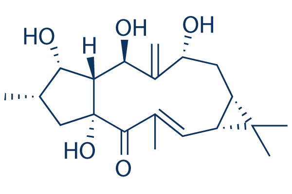 7β-Hydroxylathyrol化学構造