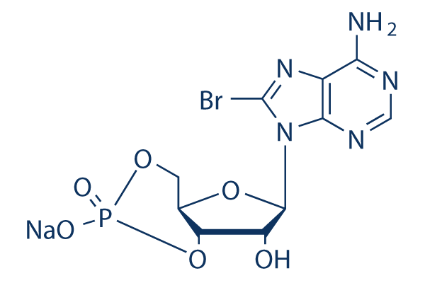 8-Bromo-cAMP化学構造