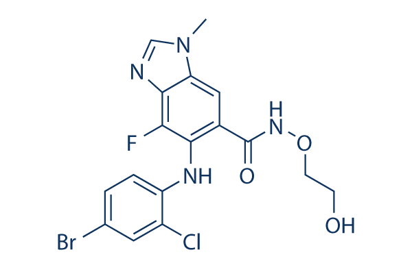 Selumetinib (AZD6244)化学構造