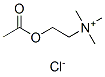 Acetylcholine Chloride化学構造