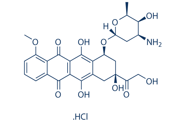 Doxorubicin (Adriamycin) HCl化学構造