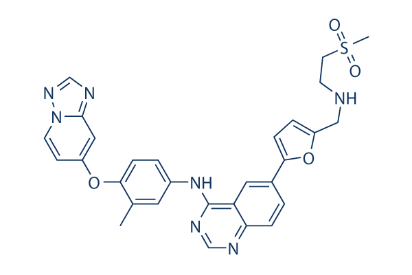 HER2-Inhibitor-1化学構造