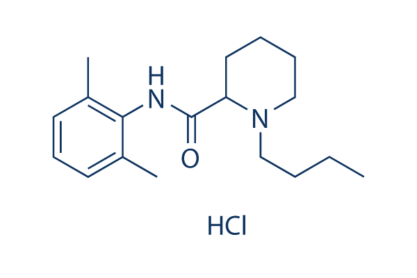 Bupivacaine HCl 化学構造
