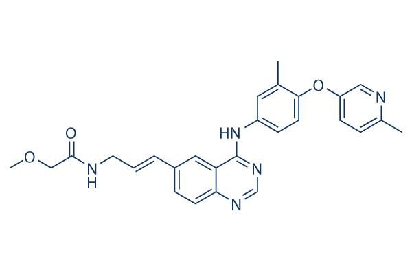 CP-724714化学構造