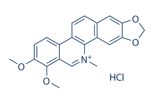 Chelerythrine Chloride (NSC 646662)化学構造
