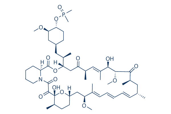 Ridaforolimus (Deforolimus, MK-8669)化学構造