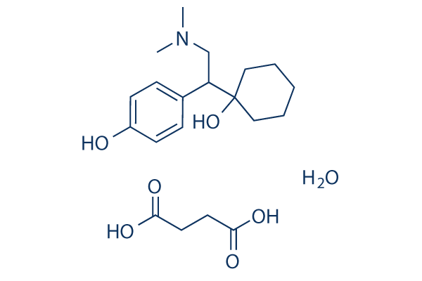 Desvenlafaxine Succinate hydrate化学構造