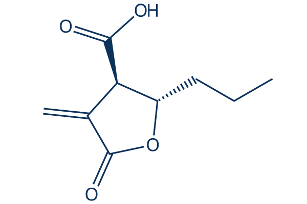 Butyrolactone 3化学構造