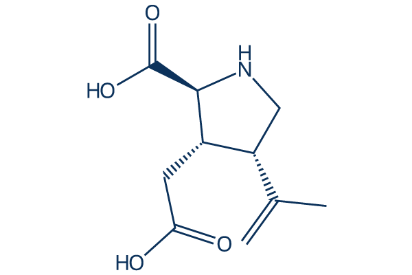 Kainic acid化学構造