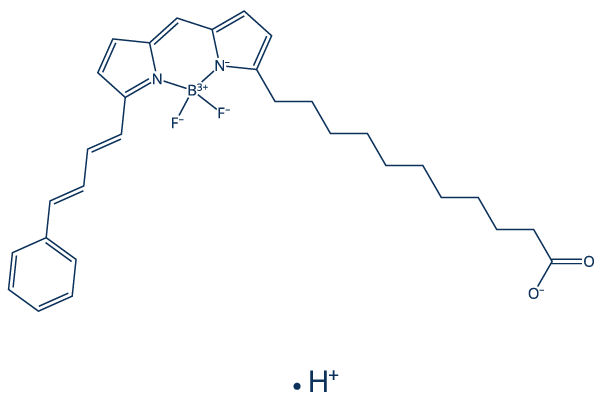 BODIPY 581/591 C11化学構造