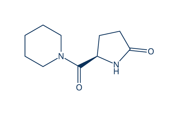 Fasoracetam (NS 105)化学構造