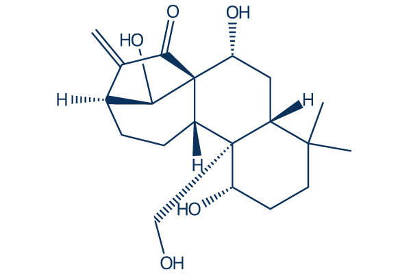 kamebakaurin化学構造
