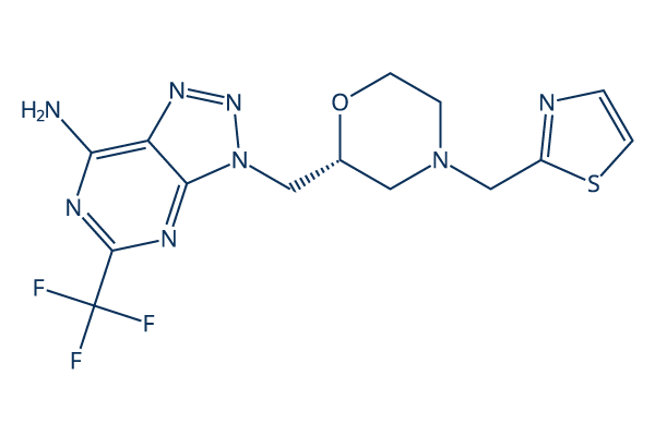 PF-04957325化学構造
